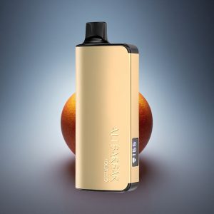 Alibarbar Ingot 9000 Puffs עשן עברי 2350mAh 22ml