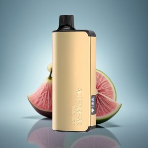 Alibarbar Ingot 9000 Puffs מנטה קרירה עם סוללת 2350mAh