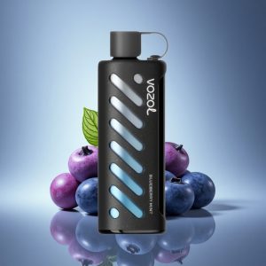VOZOL Gear Shisha 25000 Puffs מנטה אוכמניות כפול מצב עם סיליק 1000mAh