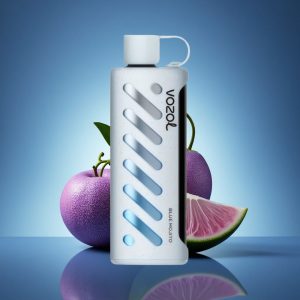 VOZOL Gear Shisha 25000 Puffs כחול מוחיטו עם שבב חכם וסוללת 1000mAh