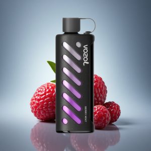 VOZOL Gear Shisha 25000 Puffs מנטה יערה עם סיליק וסוללת 1000mAh