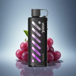 VOZOL Gear Shisha 25000 Puffs ענבים נענע עם סיליק טק ו-5 מג ניקוטין