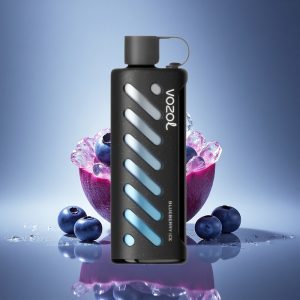 VOZOL Gear Shisha 25000 Puffs אייס אוכמניות כפול משי עם סיליק טק
