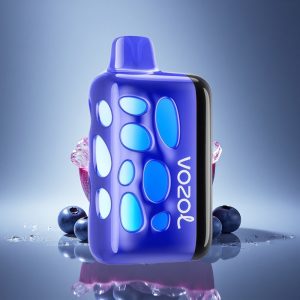 VOZOL RAVE 40000 Puffs קרח אוכמניות עם אנימציית עישון ו-1000mAh