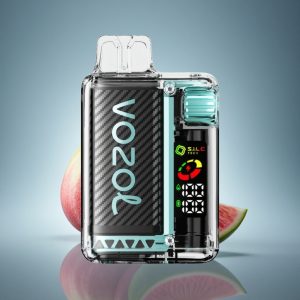 VOZOL Vista 20000 Puffs מינט מיאמי עם סוללה 650mAh וגליל כפול